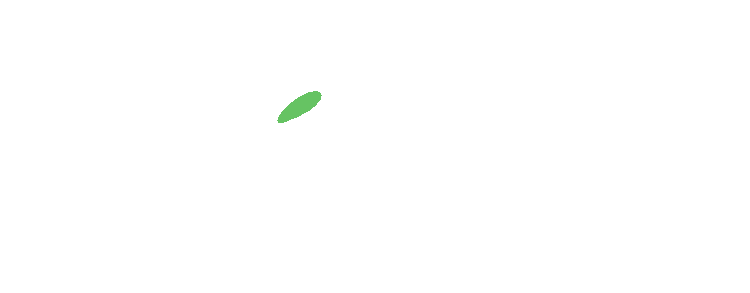Zenger Hotel Logo