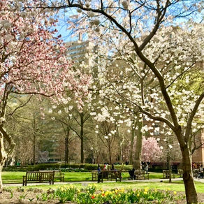 Where to Get Easter & Passover Meals