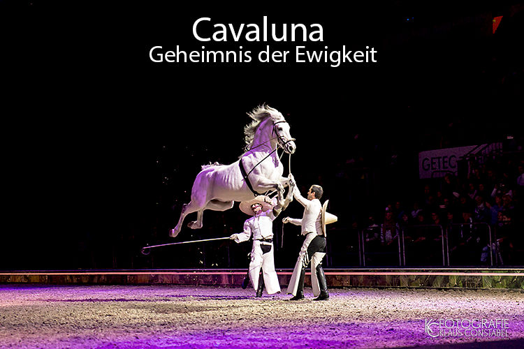 2022 - Cavaluna