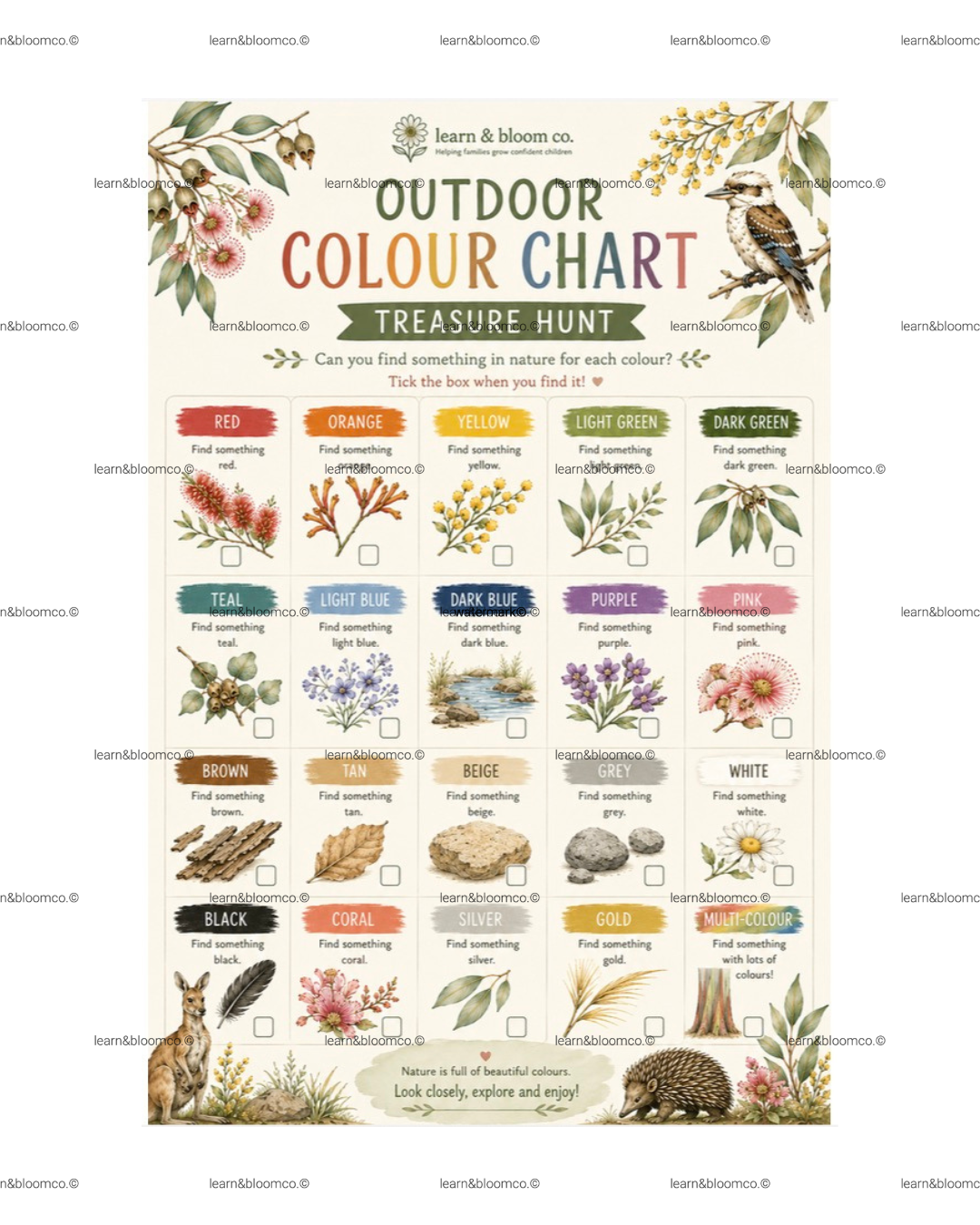 Colour Nature Hunt