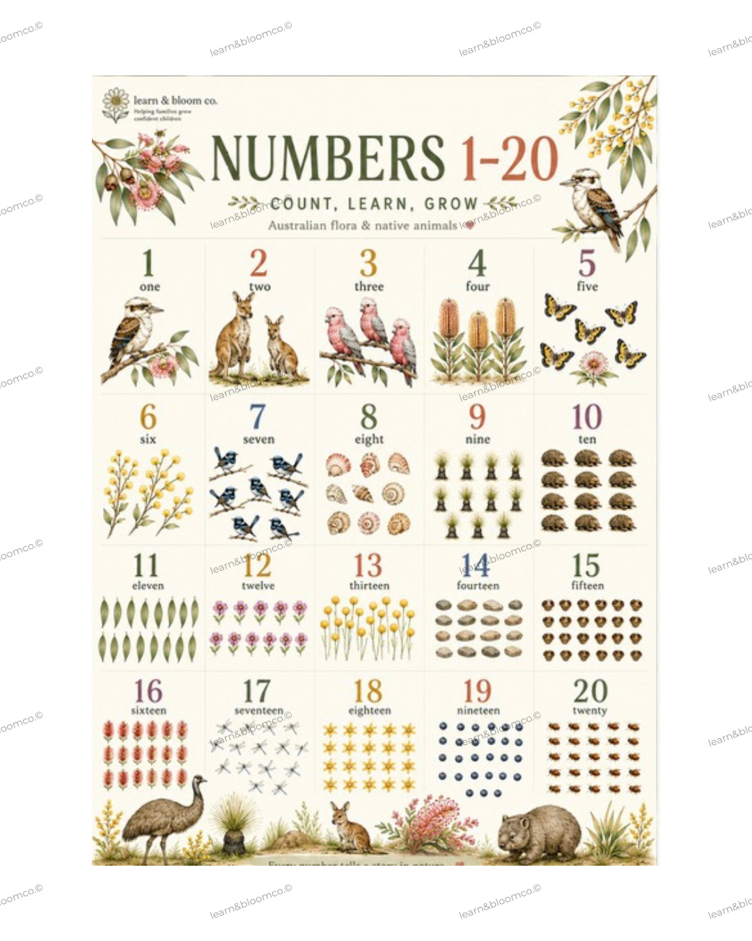 Number Chart 1-20