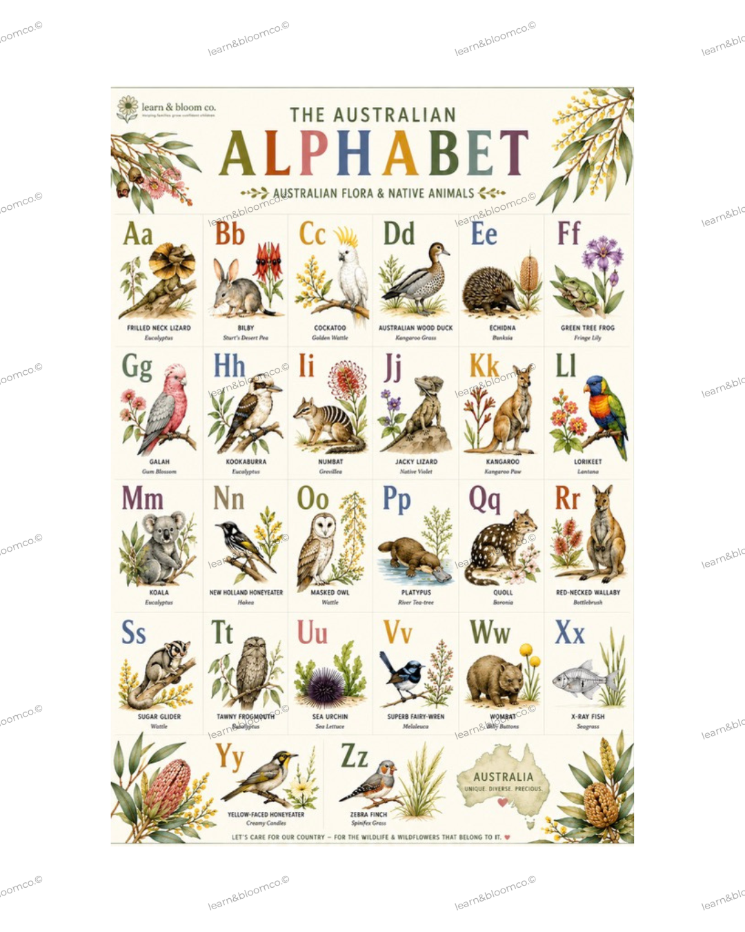 Alphabet Chart