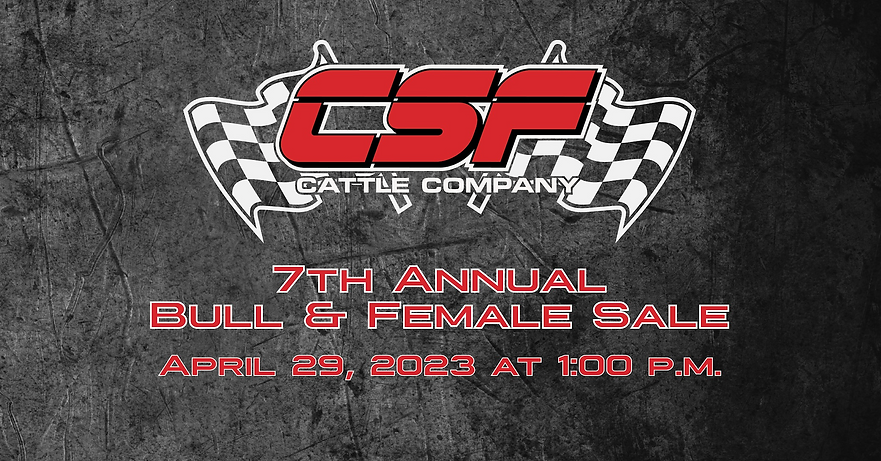 Screen Shot 2023-04-10 at 10.56.24 AM.png