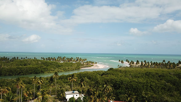 DJI_0259.JPG
