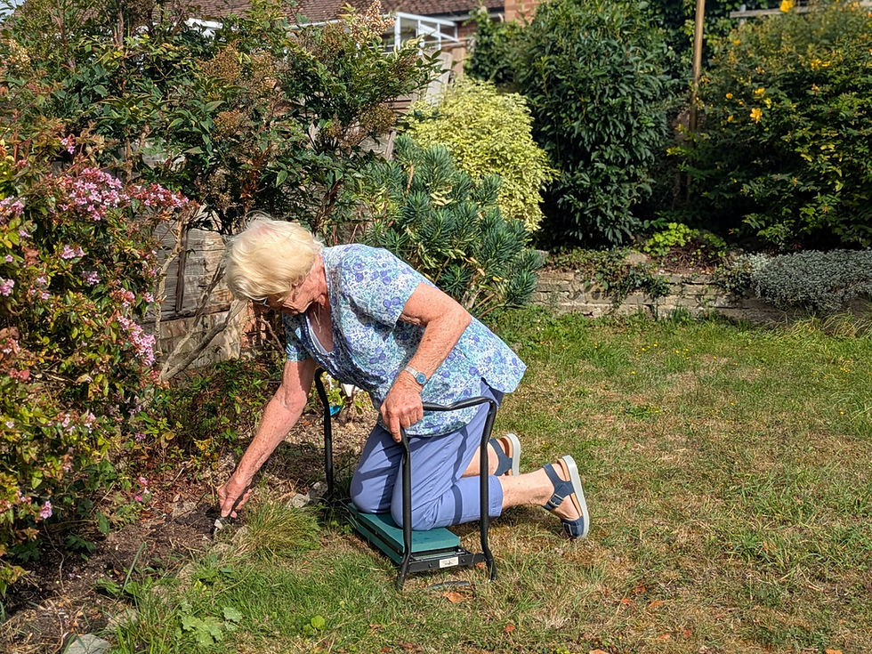 Balance and Falls
