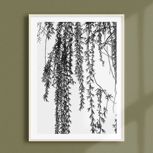 BOTANICAL WOODCUTS | Paige Dirksen Art