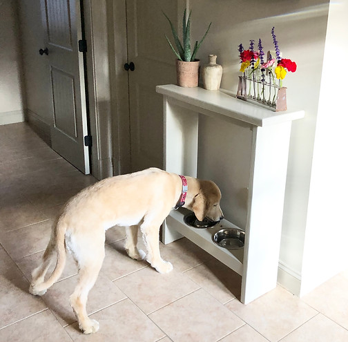 DIY Dog Bowl Console Table