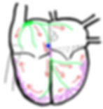 ree