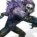cas_09.jpg
