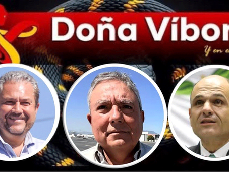Doña Víbora | 25 08 26