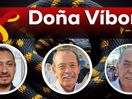 Doña Víbora | 13 Agosto 2025