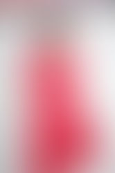 巨乳Gカップ・紗綾がバストアップか|トレカ『KNOCK OUT』