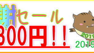 歳末感謝セール『月額300円!!』