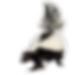 skunk-in-home-300x300-1-removebg-preview-1.png
