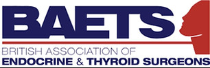 baets logo.jpg
