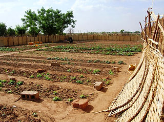 DSCN2006.JPG