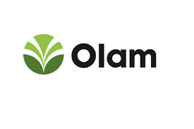 Olam