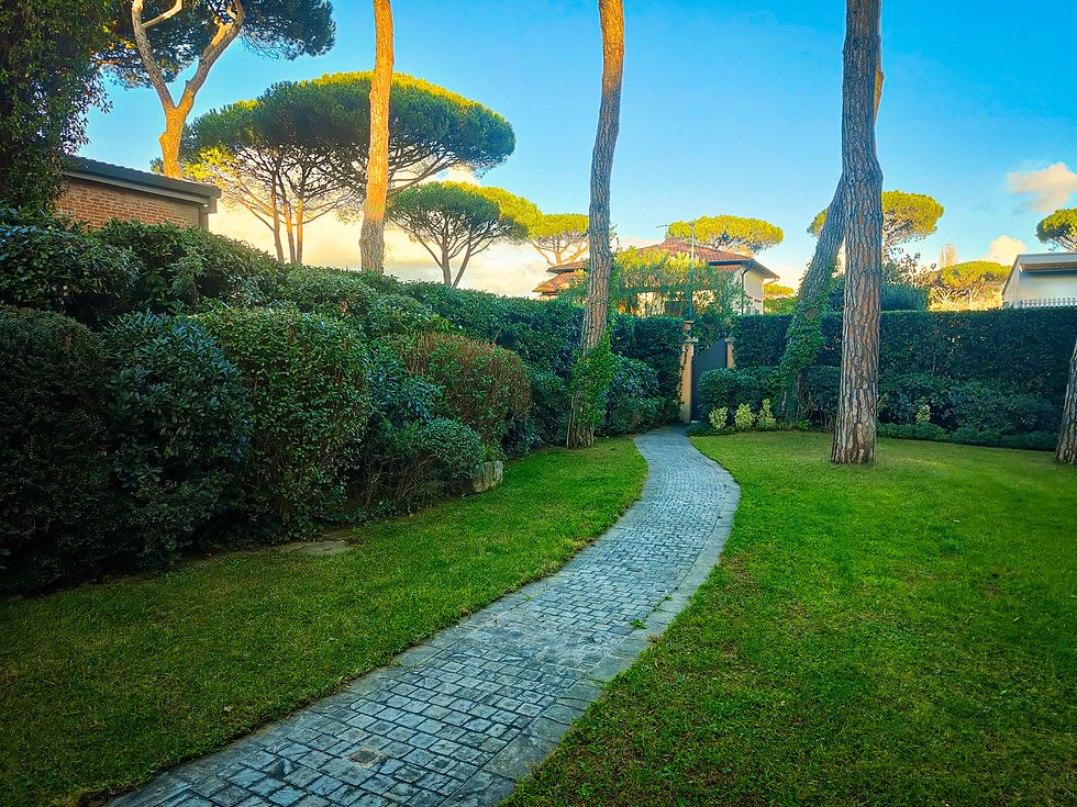 IMG20251112154712 copia.jpg