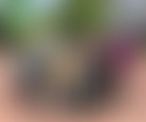 el Maxi beim Schäxpir in Linz