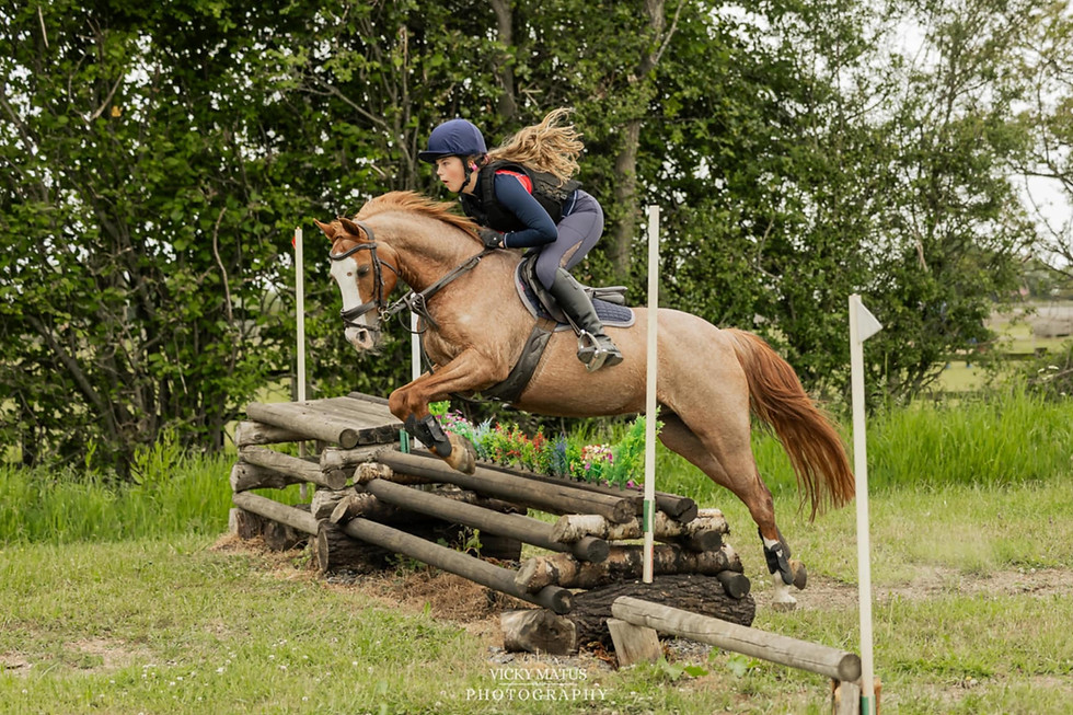 Thumbnail: JS Italia Junior Air Safety Stirrup