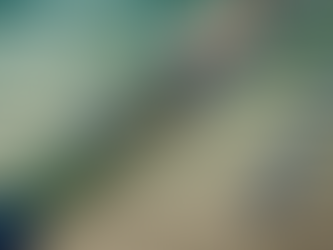 Custom Fishing Rods: Personalized Gear for Anglers