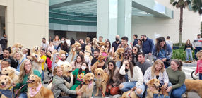 WhatsApp Image 2022-05-15 at 15.55.01.jpeg