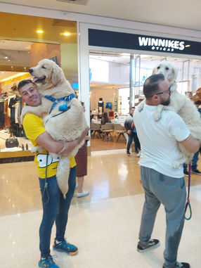 WhatsApp Image 2022-05-15 at 15.33.14.jpeg