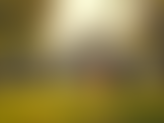 Las mejores novelas juveniles de este año