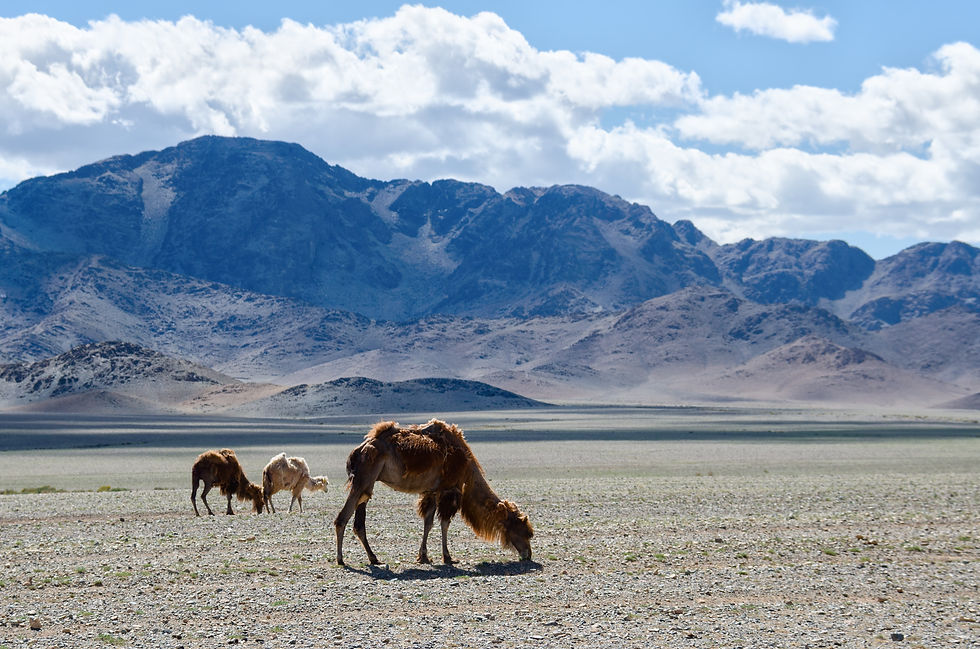 mongolia-1041538