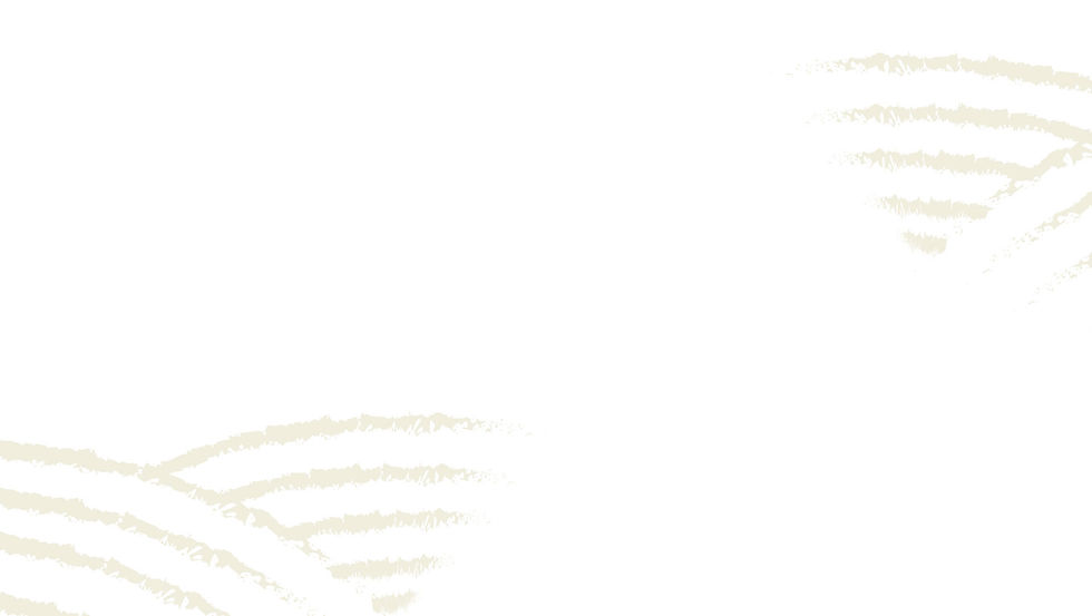BG_1919X1083_BIOLELA_TERRE.jpg
