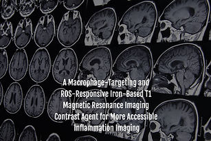 voices on the margins