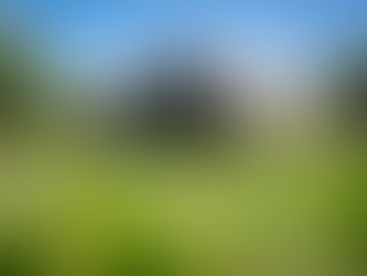 ATMO: Aerially Transforming Morphobot