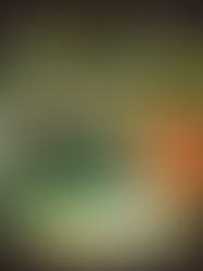 Walfredo em Busca da Simbiose anuncia novo disco com o single “Iridescência"