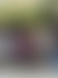 Semana internacional da música de São Paulo anuncia local e datas da edição 2026