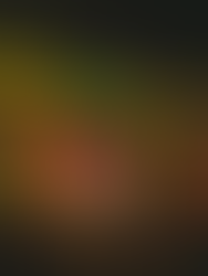 90’s Festival, que reúne ícones da música brasileira, inicia venda do terceiro lote a partir de 09 de julho