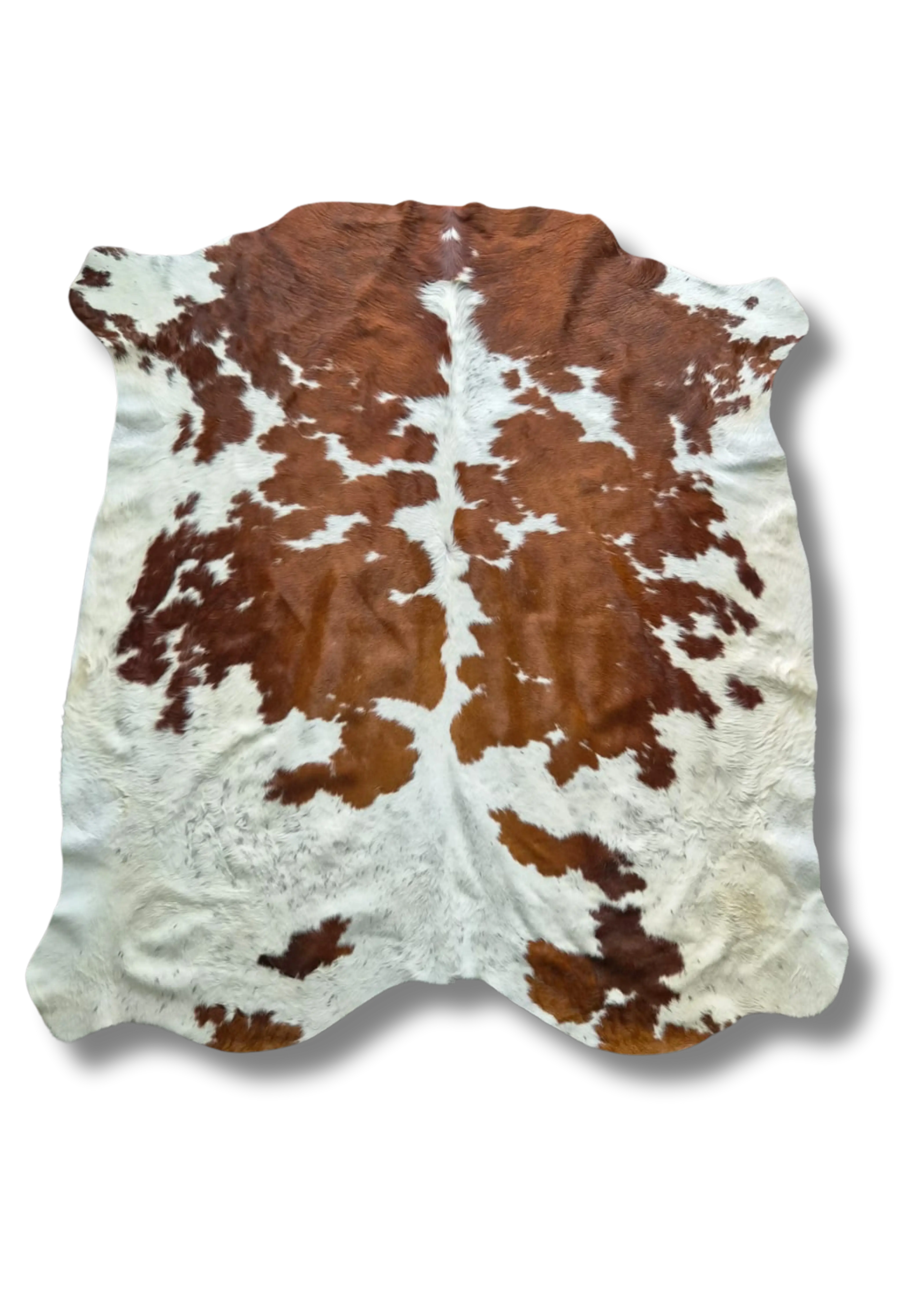 Nguni Hides | Brown & White | AA Grade