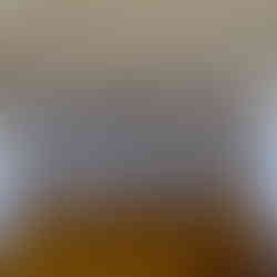 CASA-BAILE_PESRP-INT01