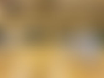 11月11日(土)練習の様子