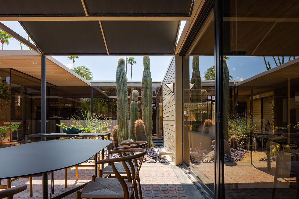 East Desert Palms-29