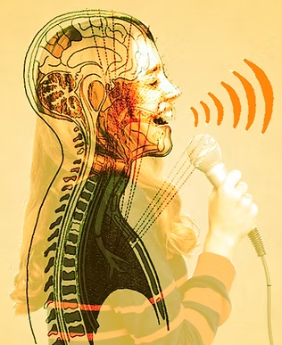 Technique vocale / analyse fonctionnelle du mouvement