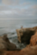 DSC00277.jpg