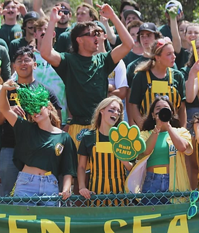 Screenshot 2025-01-21 at 11.12.45 AM.png