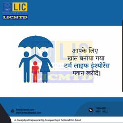 Daily_Image_993346_27192