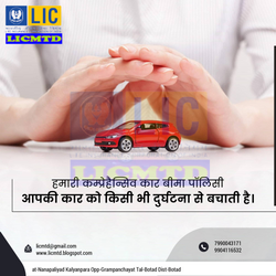 Daily_Image_993346_29527