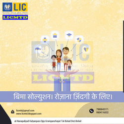 Daily_Image_993346_18333