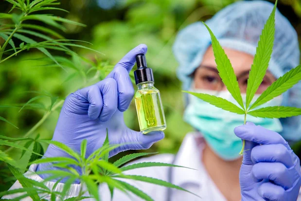 Matinée scientifique sur les cannabinoïdes et mise au vert familiale du GRID