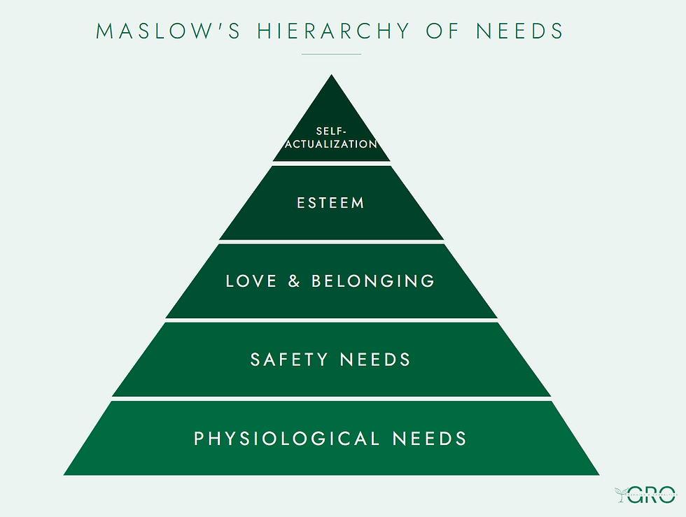 Why Wellbeing Is the Foundation for Performance: Coaching for High-Achieving Women