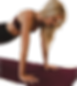 Pump%26pets_edited.png