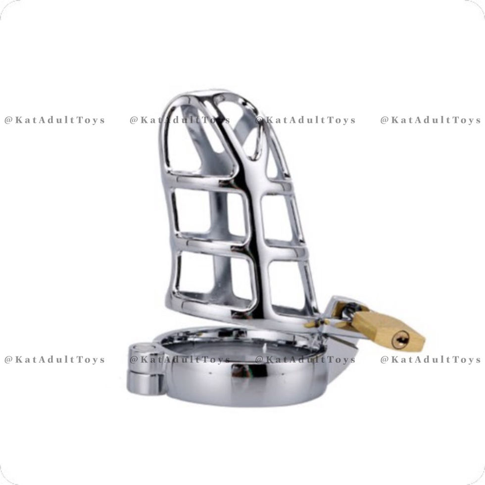 Hình thu nhỏ: KHOÁ DƯƠNG VẬT INOX V1