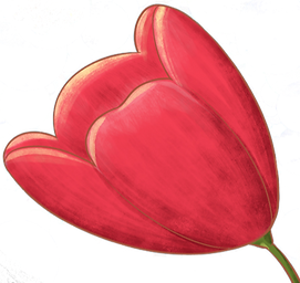 tulip copy_edited_edited.png